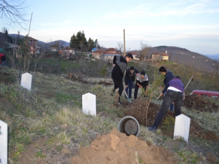 KAFYAYLA KABRİSTANLIĞINI AĞAÇLANDIRDIK.