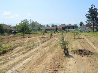 PIRPIR KÖYÜ KABRİSTANLIĞINI AĞAÇLANDIRDIK.