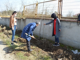 ŞENLİK HAVASINDA ÇINAR DİKTİK.