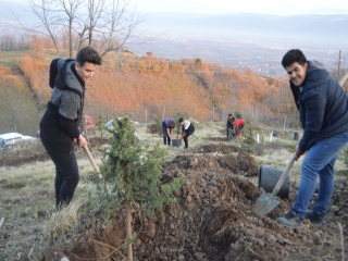 KAFYAYLA KABRİSTANLIĞINI AĞAÇLANDIRDIK.