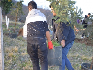 KAFYAYLA KABRİSTANLIĞINI AĞAÇLANDIRDIK.