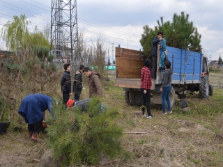 GÖNÜL GENÇLERİNDEN FİDANLAMA ÇALIŞMALARINA DEVAM