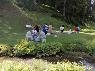 YAYLA GEZİMİZ