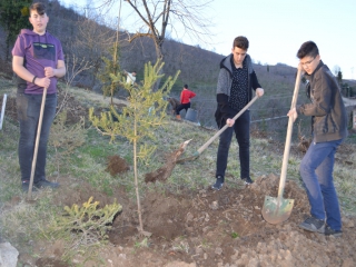 KAFYAYLA KABRİSTANLIĞINI AĞAÇLANDIRDIK.