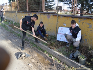 GÜL EKTİK, GÜLLER EKTİK