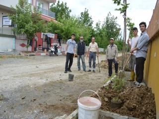 GÜLLERİMİZİ EKTİK