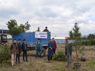 SARIMEŞE KABRİSTANLIĞINI AĞAÇLANDIRDIK.