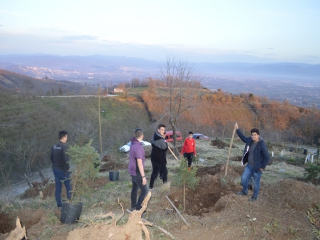 KAFYAYLA KABRİSTANLIĞINI AĞAÇLANDIRDIK.