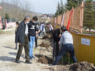 ŞENLİK HAVASINDA ÇINAR DİKTİK.