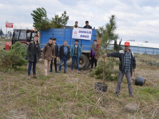 SARIMEŞE KABRİSTANLIĞINI AĞAÇLANDIRDIK.