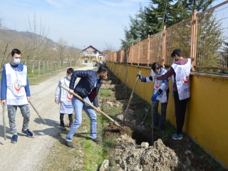 ŞENLİK HAVASINDA ÇINAR DİKTİK.